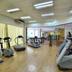 Palestra