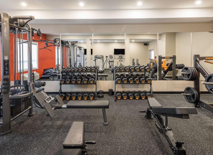 Palestra Foto