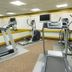 Palestra