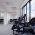 Palestra
