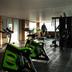 Palestra