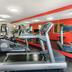 Palestra