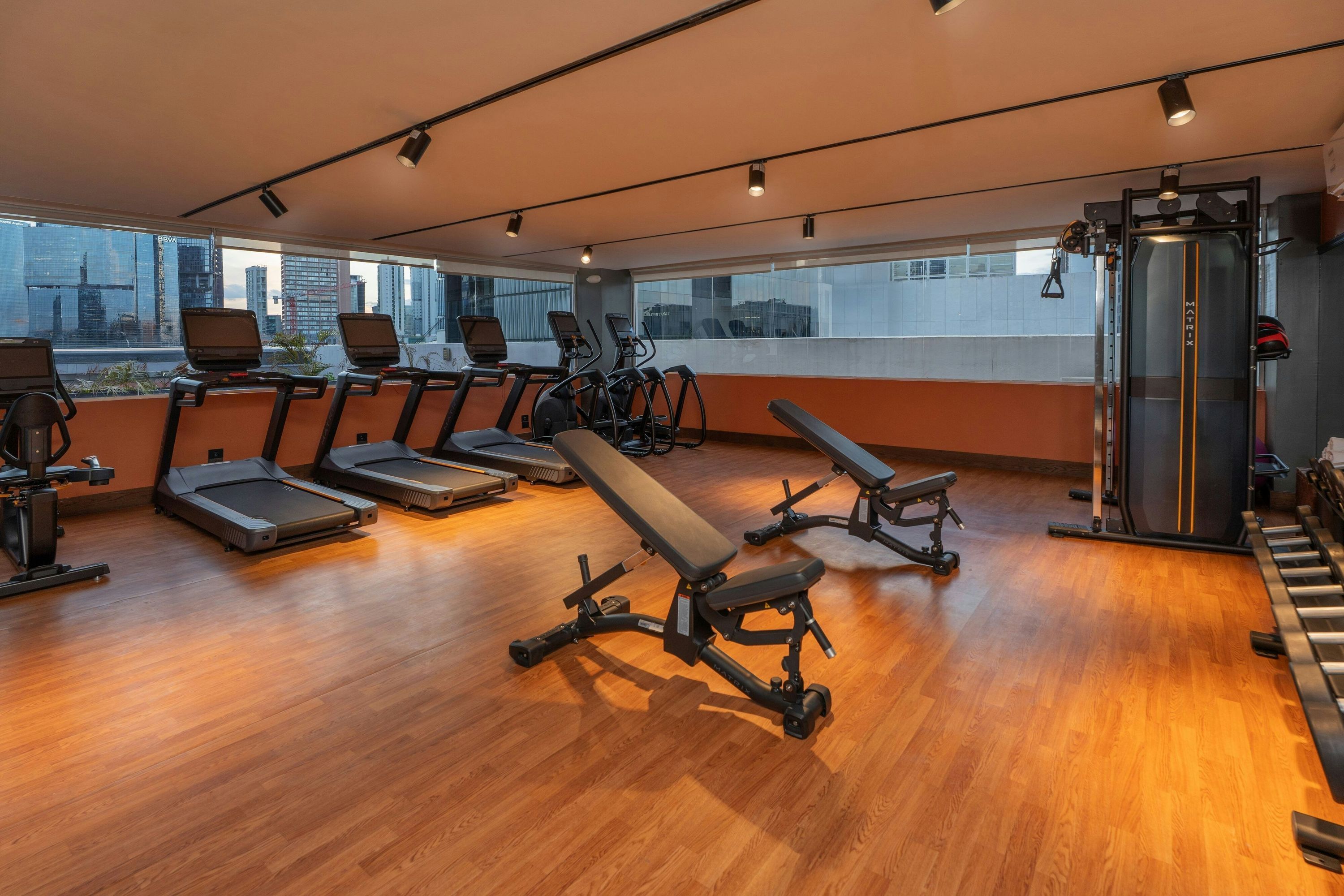 Palestra
