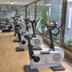 Palestra