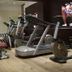 Palestra