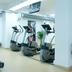 Palestra