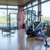 Palestra