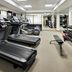 Palestra
