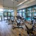 Palestra