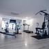Palestra