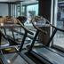 Palestra