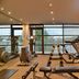 Palestra