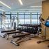 Palestra