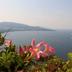 Vista esterna