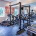 Palestra
