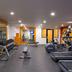 Palestra