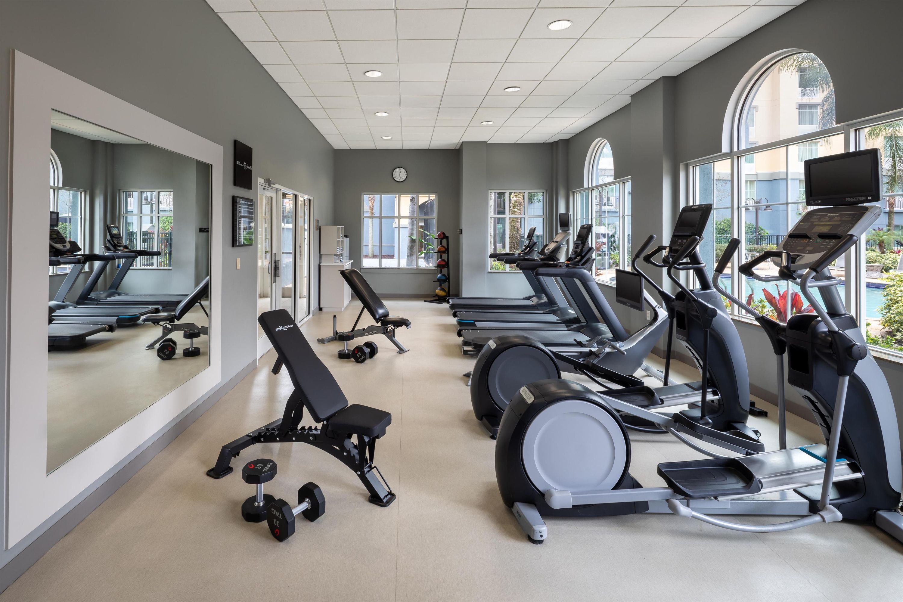 Palestra