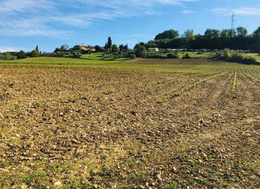 Vista esterna Foto