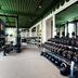 Palestra