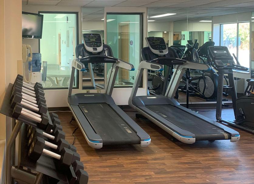 Palestra Foto