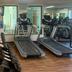 Palestra
