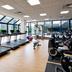 Palestra