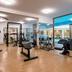 Palestra