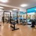 Palestra