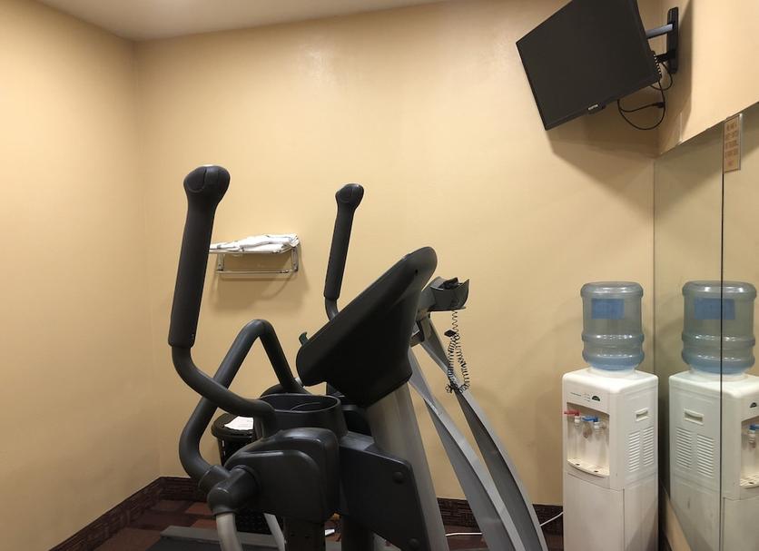 Palestra Foto