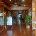 Ingresso