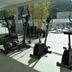 Palestra
