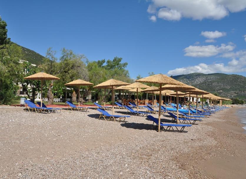 Spiaggia Foto