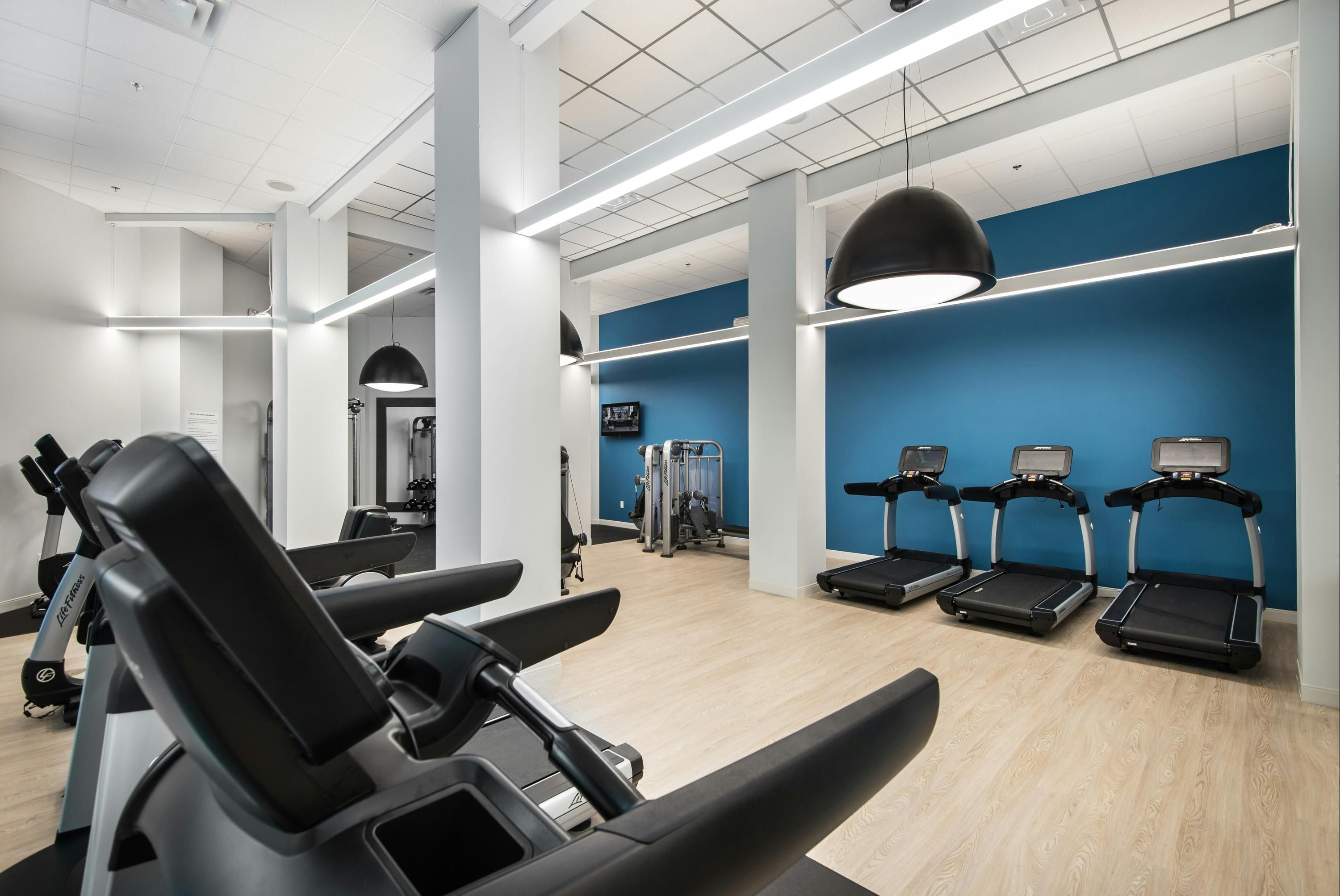 Palestra