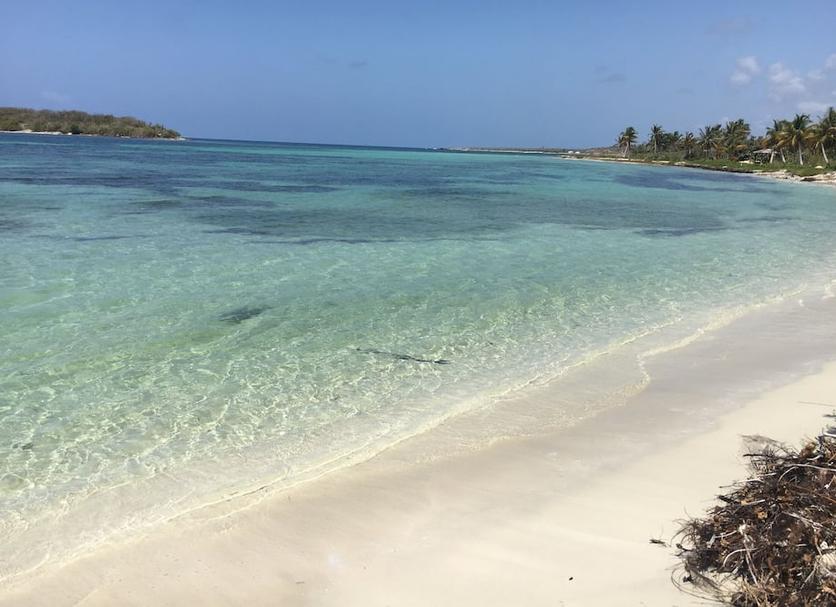 Spiaggia Foto