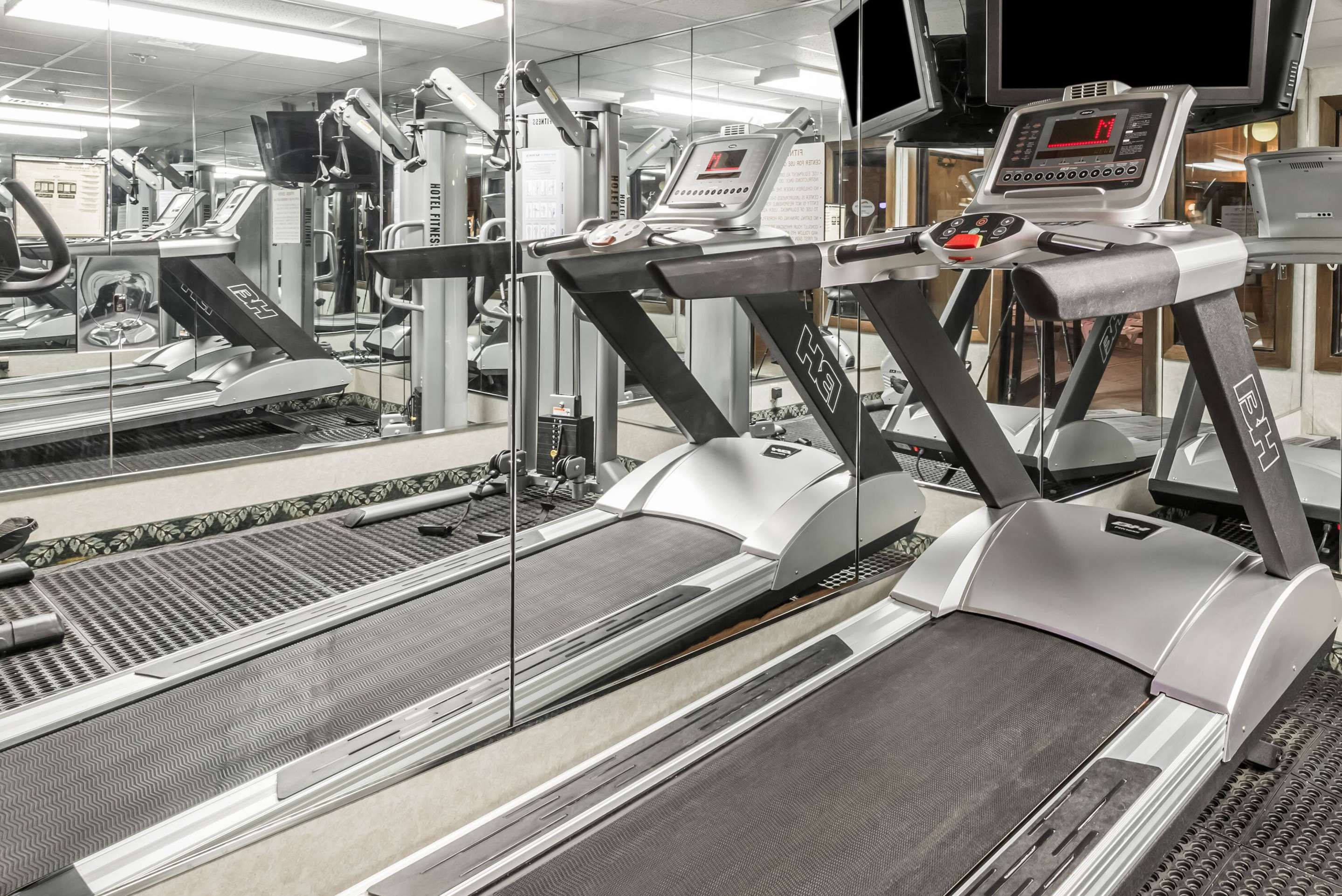 Palestra
