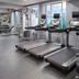 Palestra