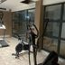 Palestra