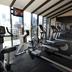 Palestra