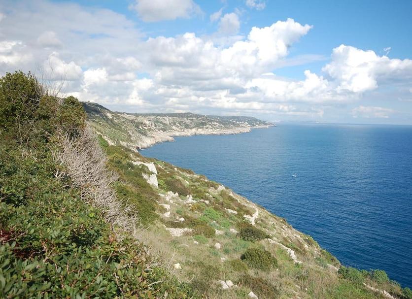 Altro Foto