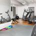 Palestra