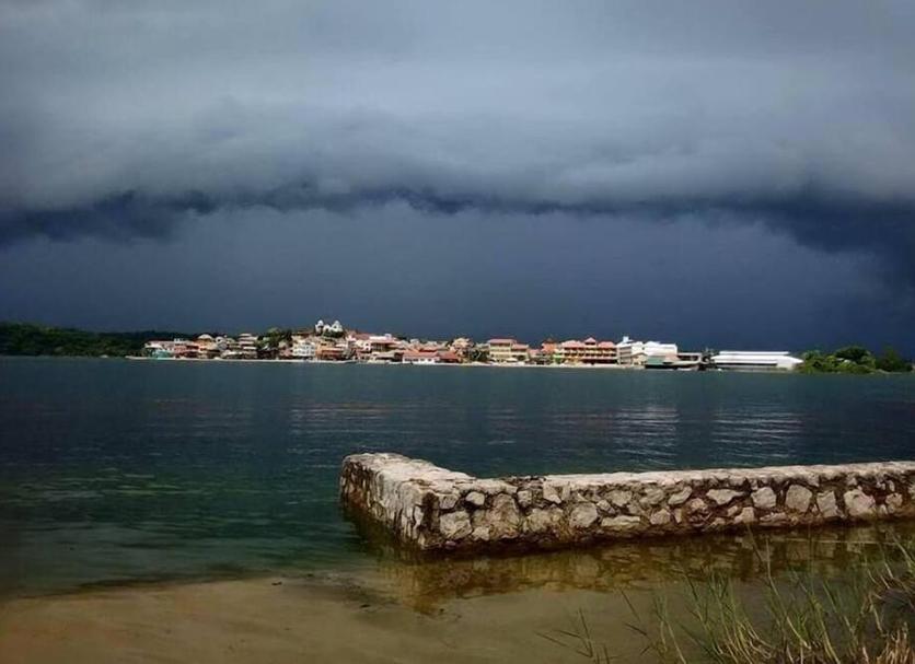 Altro Foto