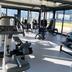Palestra