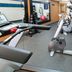Palestra