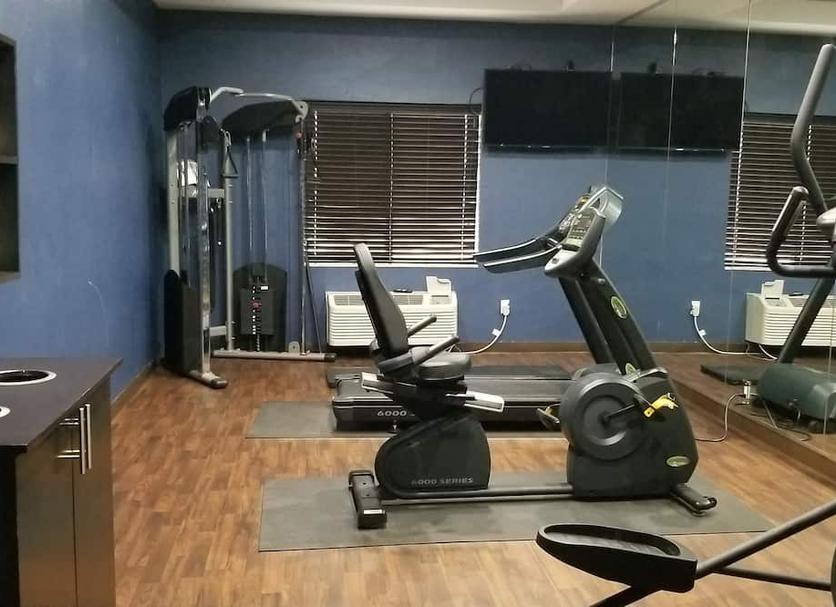 Palestra Foto