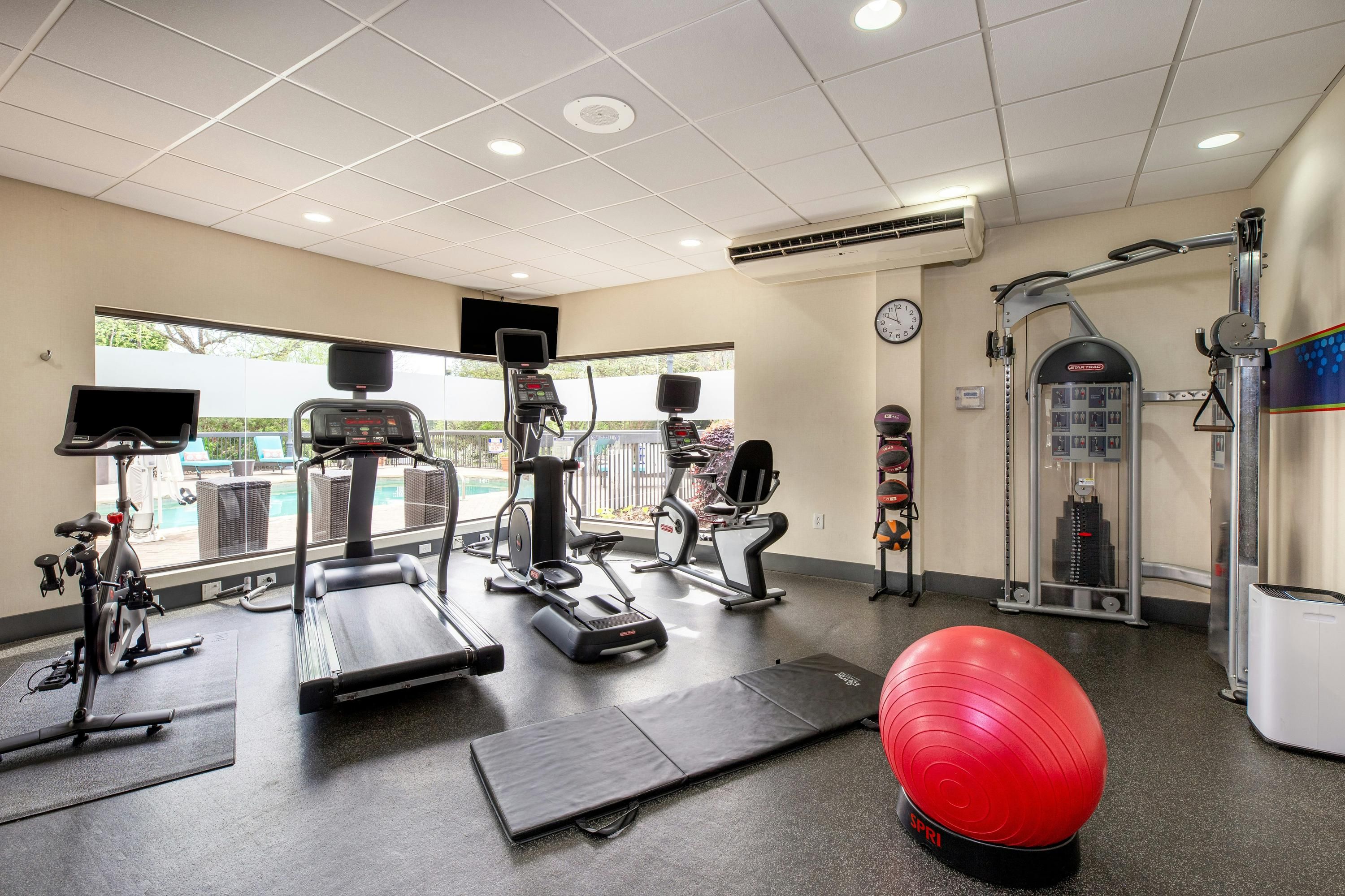 Palestra