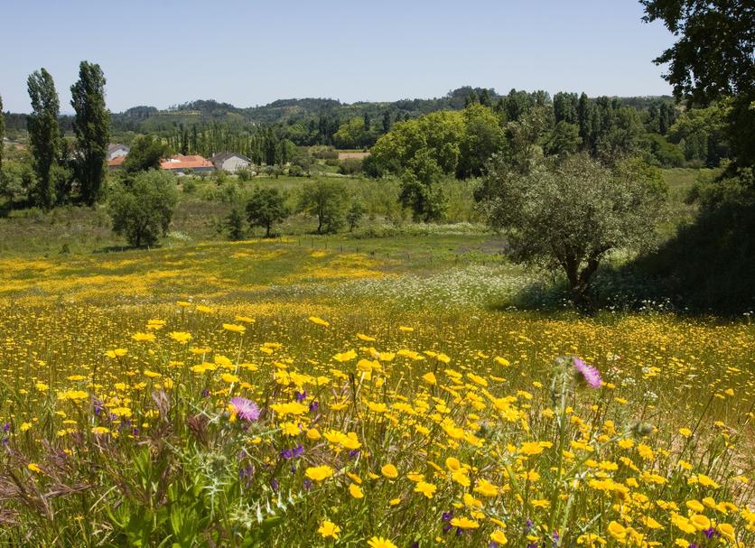 Vista esterna Foto