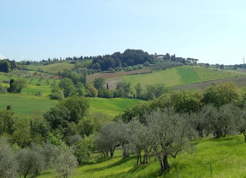 Vista esterna Foto