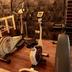 Palestra