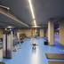 Palestra