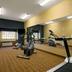 Palestra